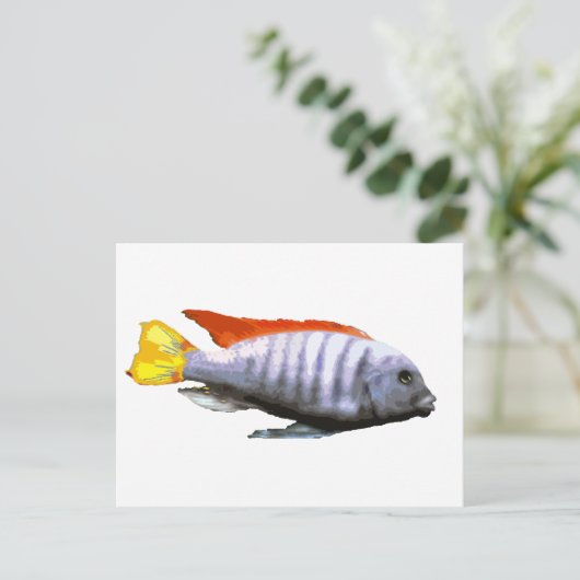 Ice Blue Zebra Cichlid Postkarte (Stehend Vorderseite)