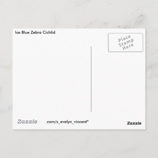 Ice Blue Zebra Cichlid Postkarte (Rückseite)