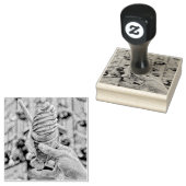 Ice cream for kids gummistempel (Stempel)