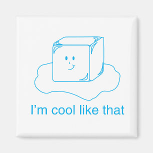 Ice Cube Magnet