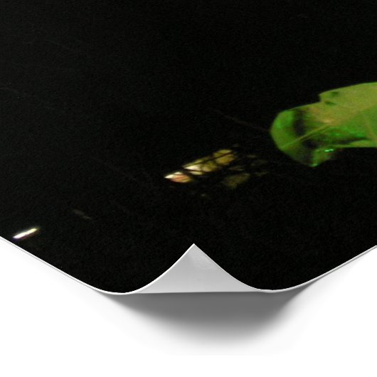 Ice Dragon Poster (Ecke)