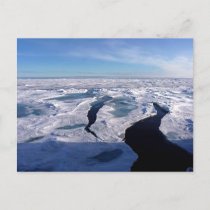 Ice fields in the Arctic Ocean Postkarte