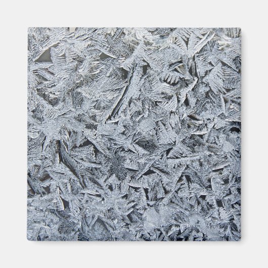 Ice Frost Kristalle Textur Bild Magnet (Vorne)
