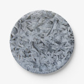 Ice Frost Kristalle Textur Bild Pappteller (Vorderseite)