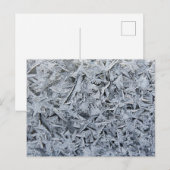 Ice Frost Kristalle Textur Bild Postkarte (Vorne/Hinten)