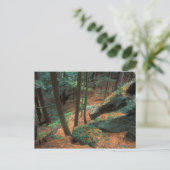 Ice Glen Ravine Postkarte (Stehend Vorderseite)