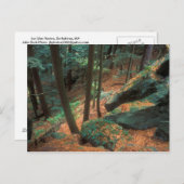 Ice Glen Ravine Postkarte (Vorne/Hinten)