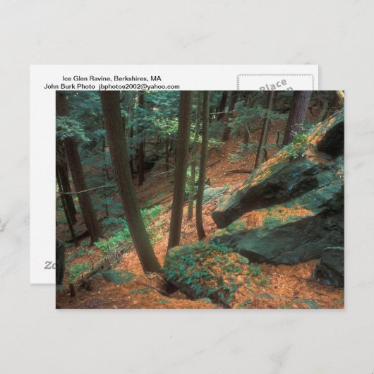 Ice Glen Ravine Postkarte (Vorne/Hinten)