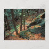 Ice Glen Ravine Postkarte (Vorderseite)