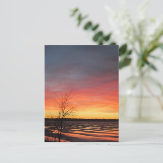 Ice Locarno Postkarte (Stehend Vorderseite)