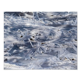 Ice Not ICE Fotodruck