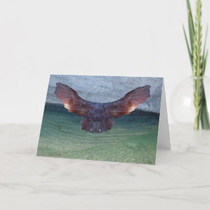 Ice Raptor Greeting Card Karte