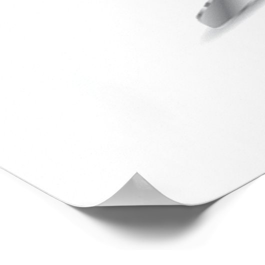 Ice Skate Poster Print (Ecke)