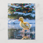 Ice Skaten Christmas Duckling Postkarte (Vorderseite)