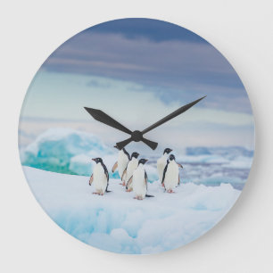 Ice & Snow   Adelie Penguins Antarctica Große Wanduhr