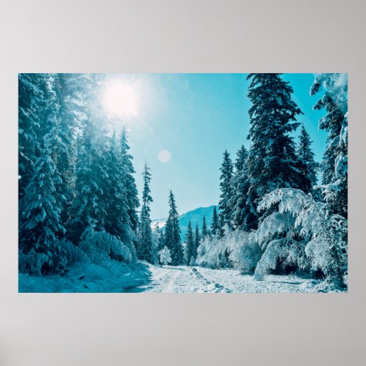 Ice & Snow | Altai Nature Reserve, Russia Poster (Vorne)