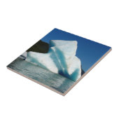 Iceberg am Mendenhall See in Alaska Fliese (Seite)