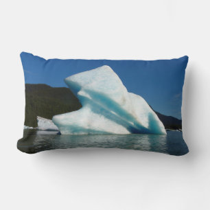 Iceberg am Mendenhall See in Alaska Lendenkissen