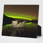 Iceberg Aurora Fotoplatte (Seite)