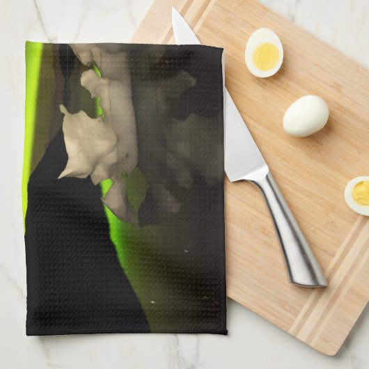 Iceberg Aurora Geschirrtuch (Viertel Falte)