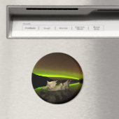 Iceberg Aurora Magnet (In Situ (Geschirrspüler))