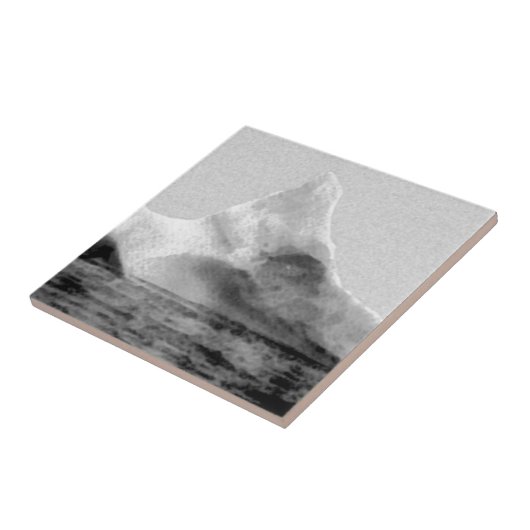 Iceberg, der die Titanic sank Fliese (Seite)