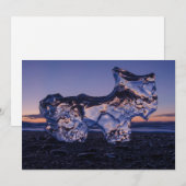 Iceberg Dog Feiertagskarte (Vorne/Hinten)