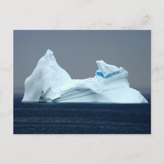 Icebergs in Neufundland Postkarte (Vorderseite)