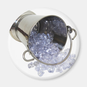 IceBucket060709 Magnet