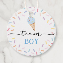 Icecream Team Boy or Girl Gender Reveal Geschenkanhänger