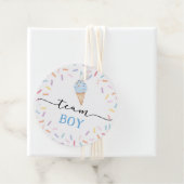 Icecream Team Boy or Girl Gender Reveal Geschenkanhänger (Beispiel)