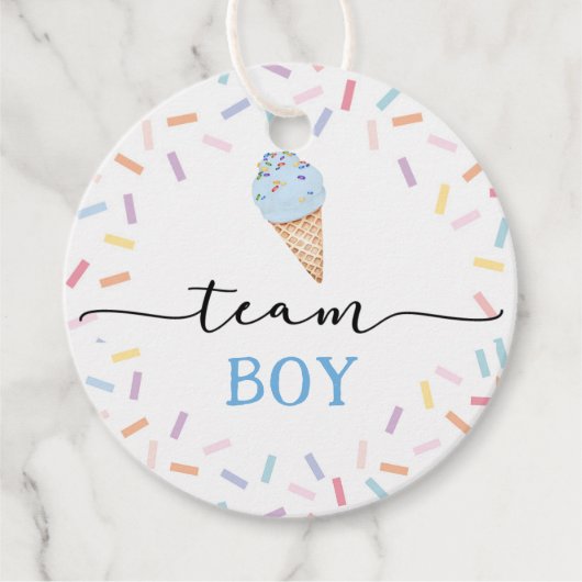 Icecream Team Boy or Girl Gender Reveal Geschenkanhänger (Vorderseite)