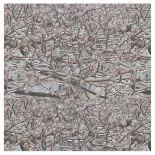 Iced Dogwood Tree Stoff (Nahaufnahme)