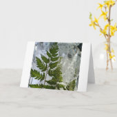 Iced Ferns, Karte (Gelbe Blume)