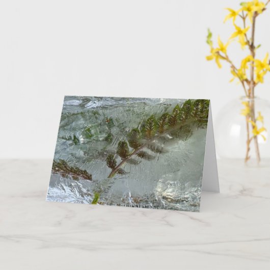 Iced Ferns, Karte (Gelbe Blume)