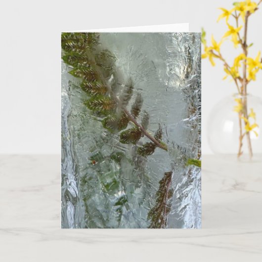 Iced Ferns, Karte (Gelbe Blume)