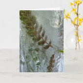 Iced Ferns, Karte (Gelbe Blume)