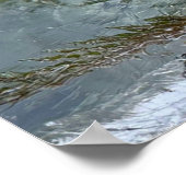 Iced Ferns, Poster (Ecke)