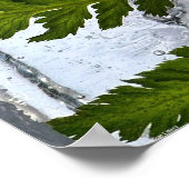 Iced Ferns, Poster (Ecke)