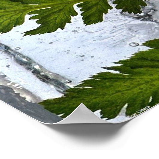 Iced Ferns, Poster (Ecke)