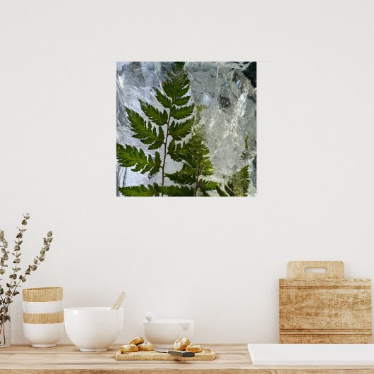 Iced Ferns, Poster (Küche)