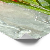 Iced Gladioli Poster (Ecke)