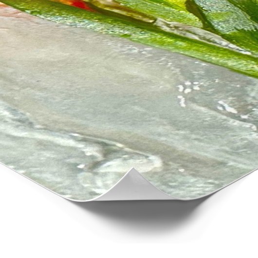 Iced Gladioli Poster (Ecke)