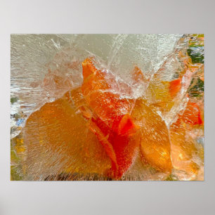Iced Gladioli Poster