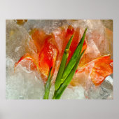 Iced Gladioli Poster (Vorne)
