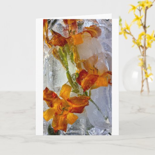 Iced Lilies, Karte (Gelbe Blume)