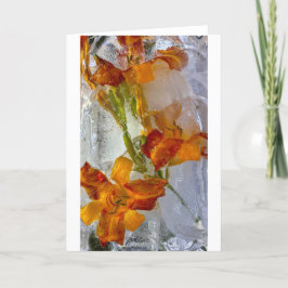 Iced Lilies, Karte