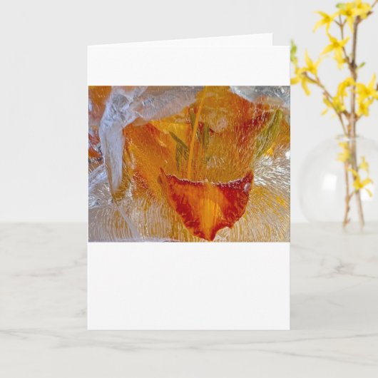 Iced Lilies, Karte (Gelbe Blume)