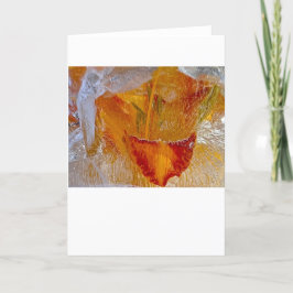 Iced Lilies, Karte