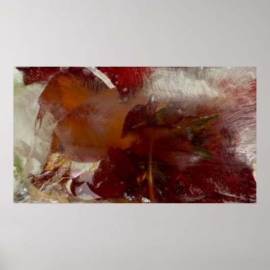 Iced Lilies, Poster (Vorne)